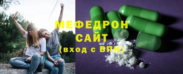 индика Зеленокумск