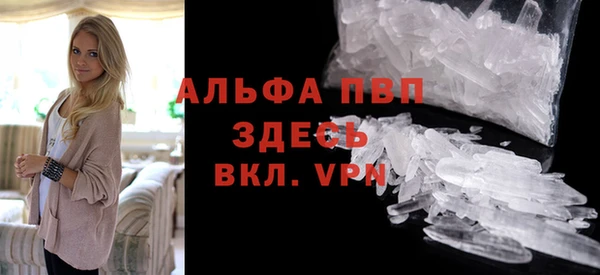 индика Зеленокумск