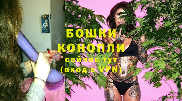 индика Зеленокумск