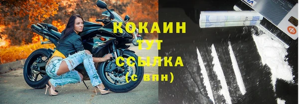 индика Зеленокумск