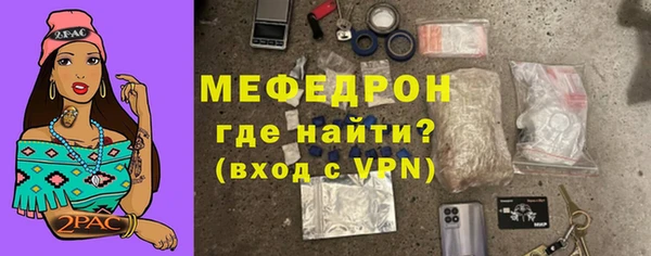 индика Зеленокумск