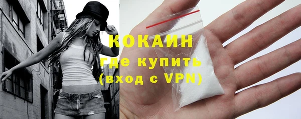 индика Зеленокумск
