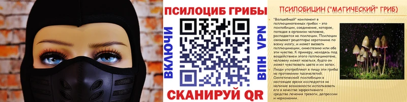 Псилоцибиновые грибы прущие грибы  Купить закладки  Бугульма 
